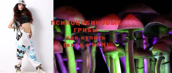 бутират Арсеньев