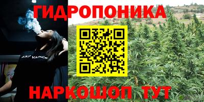 jwh Камышлов