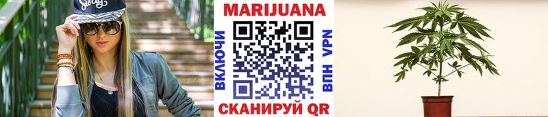 Бошки марихуана Amnesia  ссылка на мегу рабочий сайт  Лянтор 